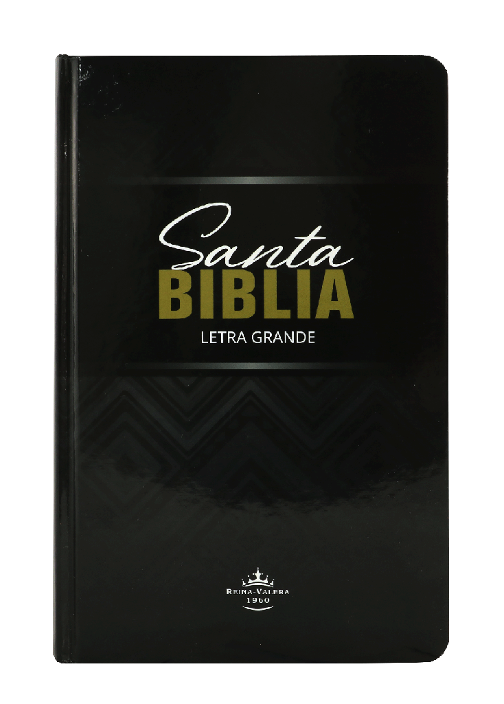 Biblia Reina Valera 1960 Tapa Dura Ilustrada Letra Grande [RVR063CLGPJR]