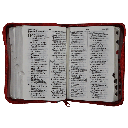 Biblia Reina Valera 1960 Chica Letra Grande Imitación Piel Roja [RVR046cLGPJRZTI]