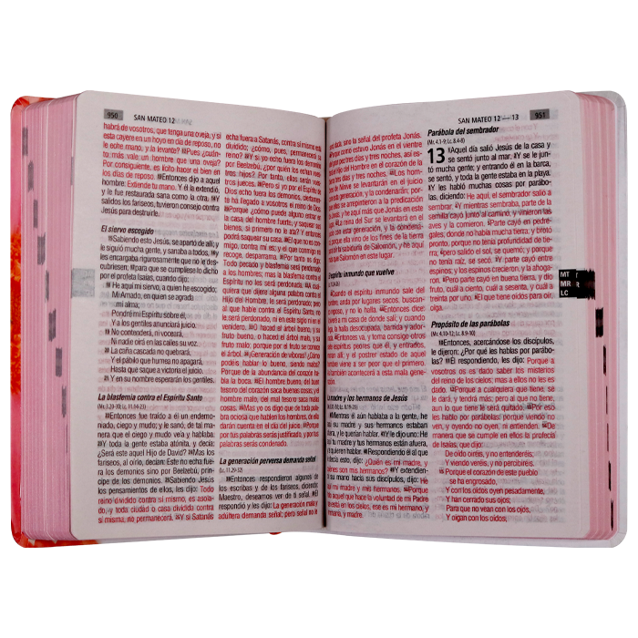 Biblia Reina Valera 1960 Mediana Letra Grande Tapa Semiflexible Flor Rosa [RVR.61cLGPJR]