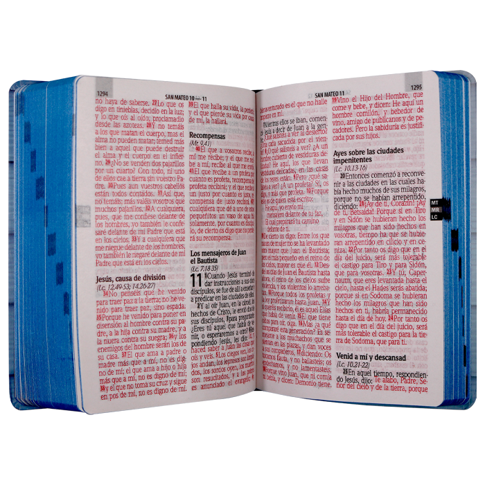 Biblia Reina Valera 1960 Mediana Letra Gigante Tapa Semiflexible Azul Claro Ancla [RVR.61ecLGiPJR]