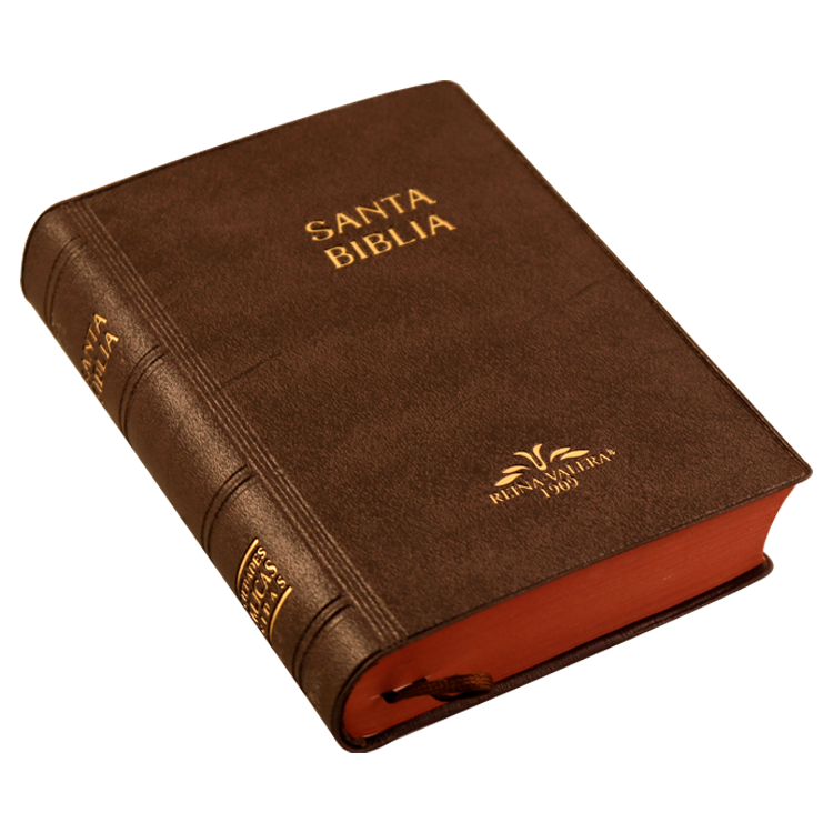 Biblia Reina Valera 1909 Tamaño Bolsillo Letra Chica Vinil Café [VR022LM]