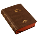 Biblia Reina Valera 1909 Tamaño Bolsillo Letra Chica Vinil Café [VR022LM]