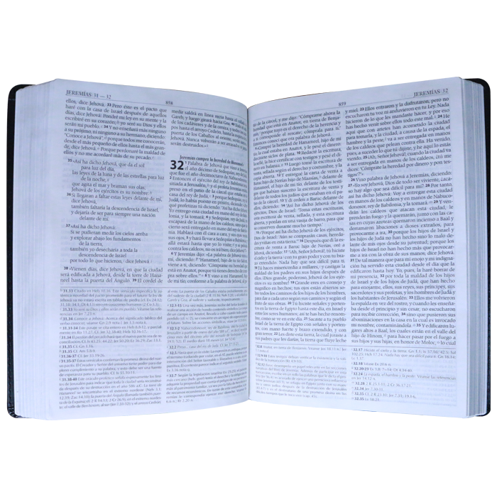 Biblia de Estudio Exégesis Reina Valera 1995 Grande Letra Mediana Imitación Piel Negro [RVR95086EEcLM]