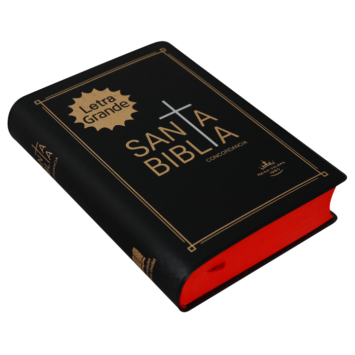 Biblia Reina Valera 1960 Chica Letra Mediana Vinil Negro [RVR042cLG]