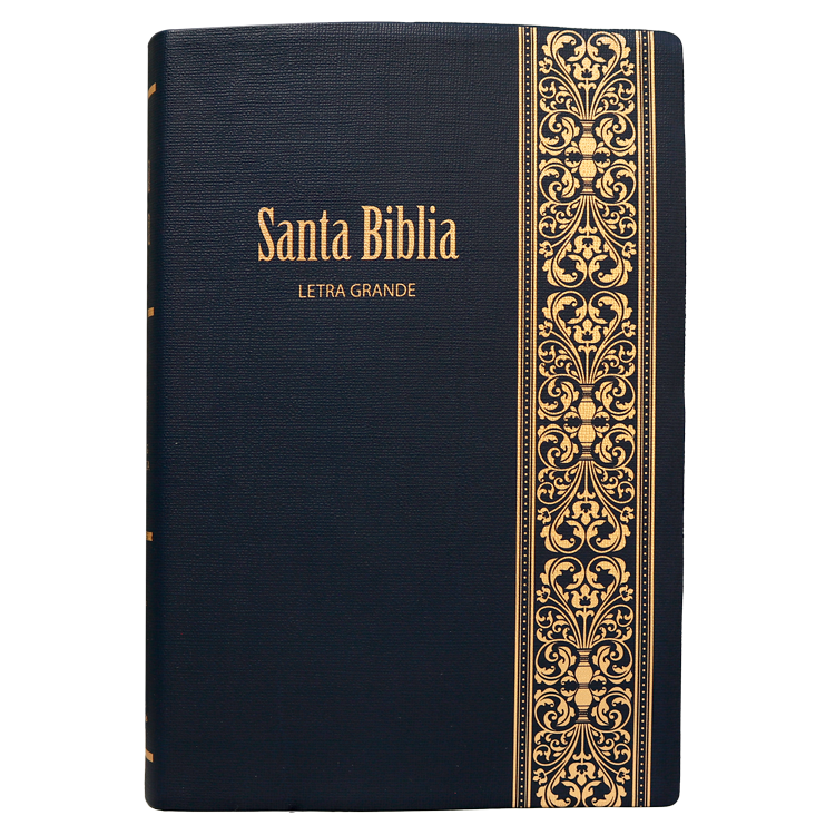 Biblia Reina Valera 1960 Mediana Letra Grande Vinil Negro [RVR062CLG]