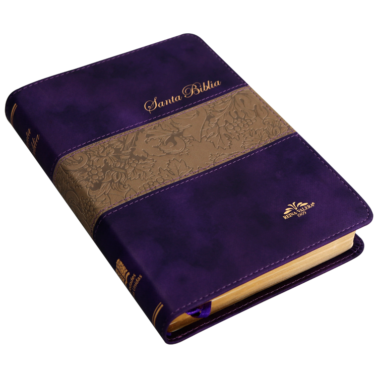 Biblia Reina Valera 1909 Mediana Letra Mediana Imitación Piel Morado Duotono [VR055TI]