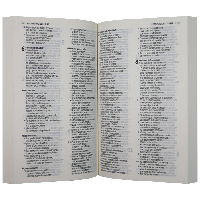 Biblia Misionera Traducción Lenguaje Actual Mediana Letra Mediana Rústica Lila [TLA.60ue]