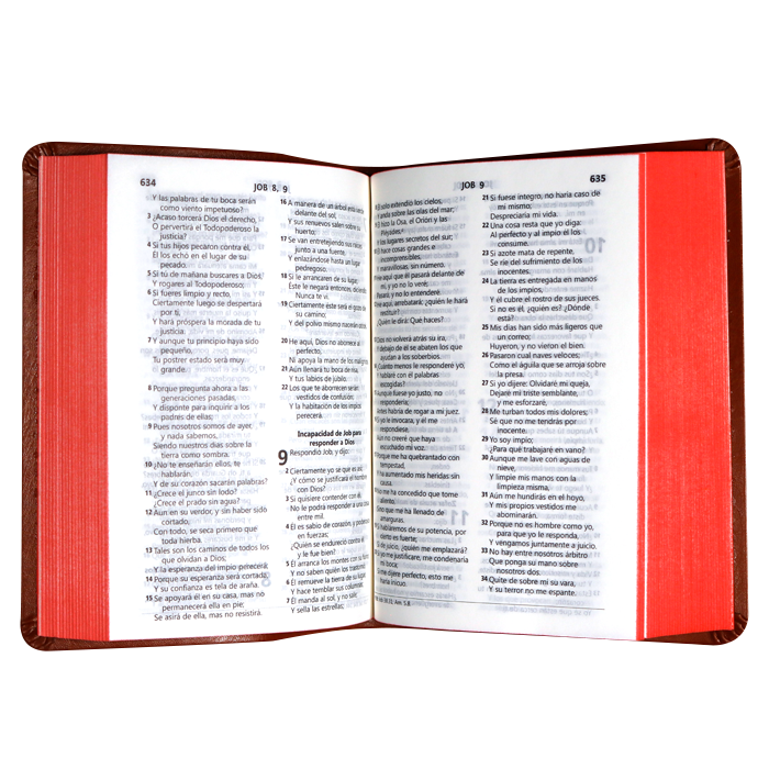 Biblia Reina Valera 1960 Chica Letra Mediana DRG Imitación Piel Café [RVR045cLG]