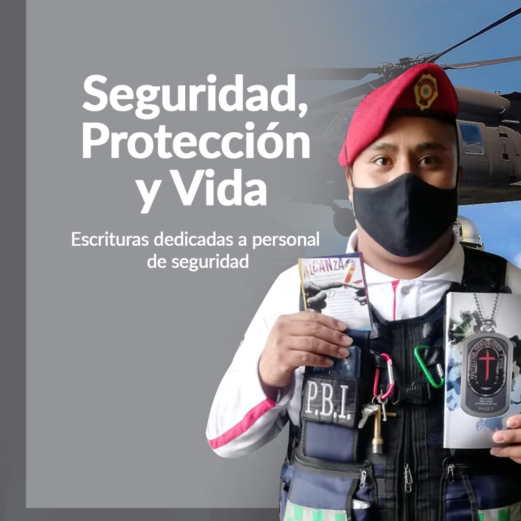 PROTECCION SEGURIDAD Y VIDA