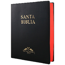 [9788941261308] Biblia Reina Valera 1909 Grande Negro [VR082LM]