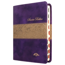 [9788941291398] Biblia Reina Valera 1909 Mediana Letra Mediana Imitación Piel Morado Duotono [VR055TI]